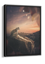 Leopard In The City