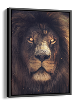 The King Of The Jungle