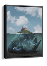 Rhinoceros