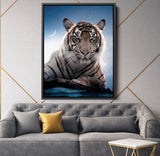 The Tiger