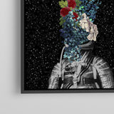 Stars and Flowers