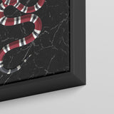 Snake on Black Marble