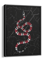 Snake on Black Marble