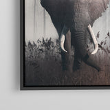Moody Elephant