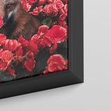 Rose Fox