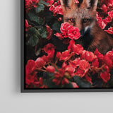Rose Fox