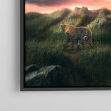 Leopard At Midnight
