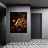 Leopard Butterfly