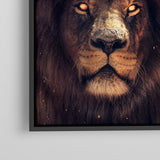 The King Of The Jungle