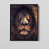 The King Of The Jungle