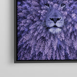 Purple Lion