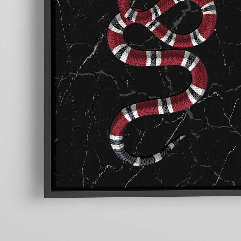 Snake on Black Marble