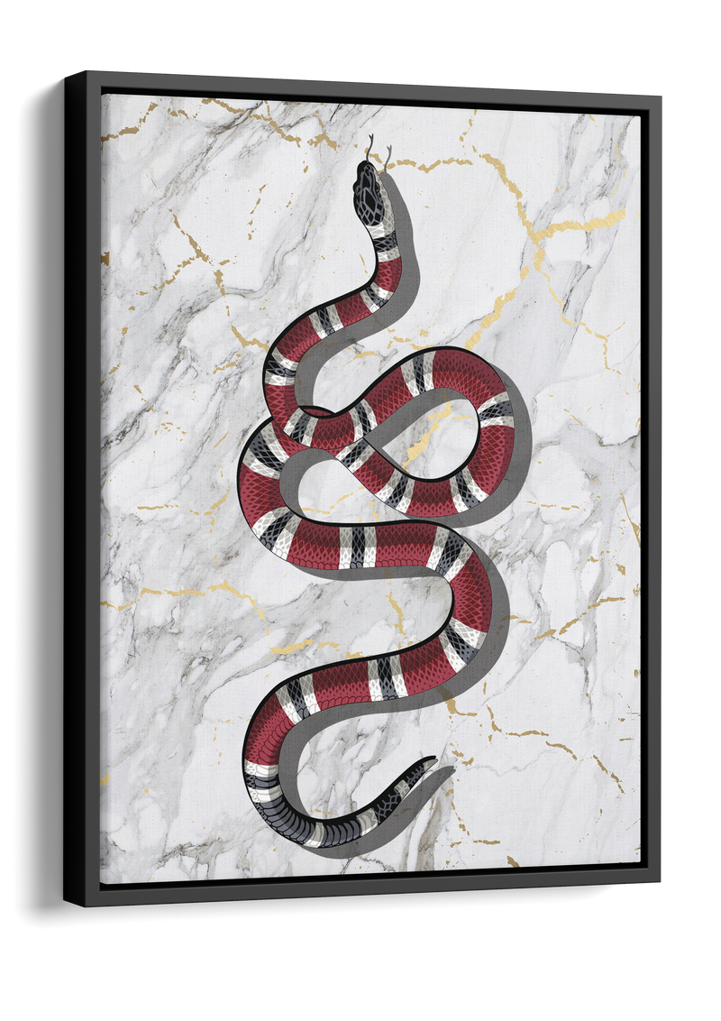 Snake on White Marble